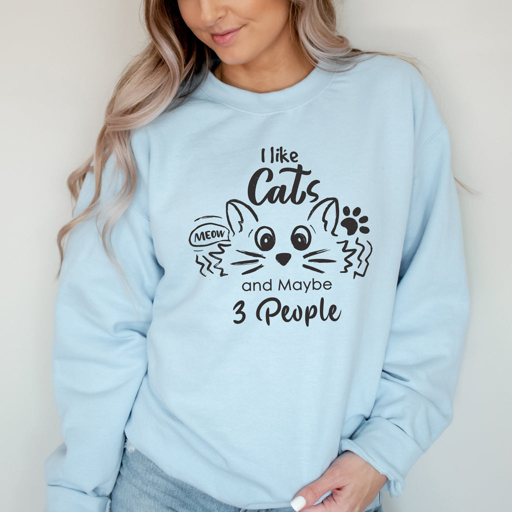 I Like Cats and Maybe 3 People Sweatshirt, Funny Cat Lover Sweater, Cat Mom Shirt, Women Cat Lover T-Shirt, Dad Cat Shirt
