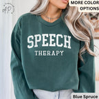 Speech Therapy Comfort Colors® Sweater, Speech Therapist Sweatshirt, Special Education, Gift For Therapist