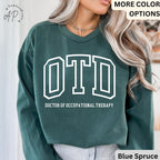 Doctor of Occupational Therapy Comfort Colors® Sweater, OTD Sweatshirt, Occupational Therapy, Gift for Occupational Therapist
