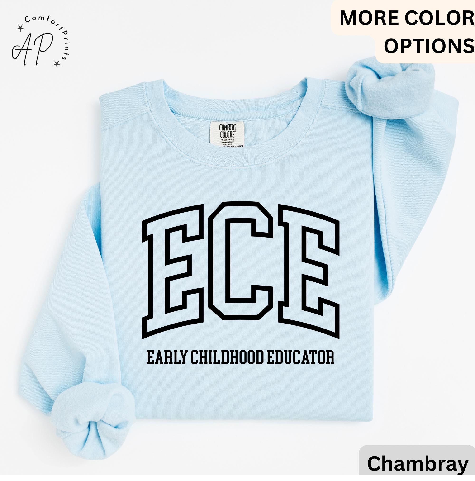 Early Childhood Educator Comfort Colors® Sweater, ECE Sweatshirt, Gift for Daycare Teacher, Daycare Babysitter