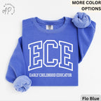 Early Childhood Educator Comfort Colors® Sweater, ECE Sweatshirt, Gift for Daycare Teacher, Daycare Babysitter