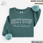 Med School Comfort Colors® Sweatshirt, Next Stop Medical School Sweater, Gift Med School Student, Future Doctor