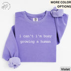 Pregnancy Announcement Comfort Colors Sweatshirt, I Can't I'm Busy Growing A Human Sweater, Funny Mom, Gift for Maternity