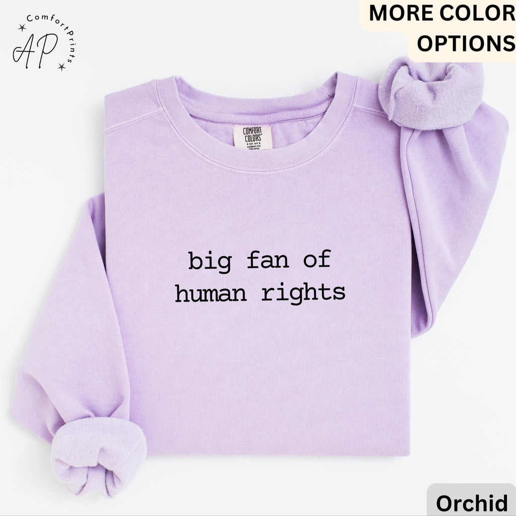 Big Fan Of Human Rights Shirt Comfort Colors Sweatshirt, Equality Sweater, Social Justice, Gift for Activist