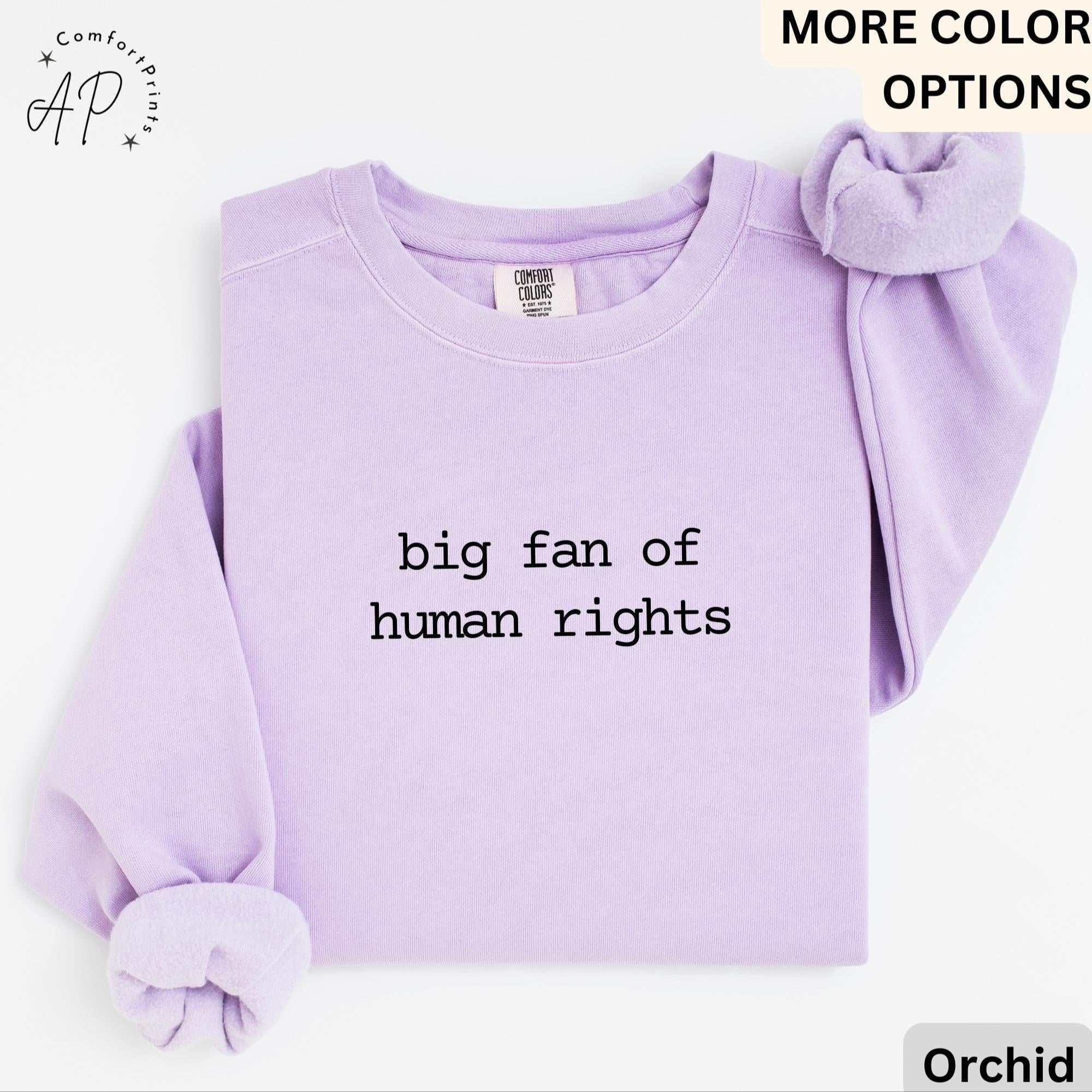 Big Fan Of Human Rights Shirt Comfort Colors Sweatshirt, Equality Sweater, Social Justice, Gift for Activist