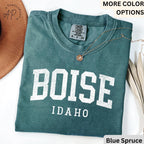Boise Comfort Colors® T-Shirt, Boise Idaho Souvenir Shirt, Gift for Boise Traveler