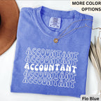 Accountant Comfort Colors® T-Shirt, Gift for Accounting Shirt, Accountant Sweatshirt, Public Accountant Long-Sleeve Shirt
