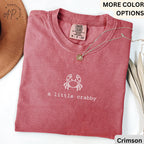 Summer Beach Comfort Colors® T-Shirt, A Little Crabby Shirt, Minimalist Beach Sweatshirt, Funny Vacation Long-Sleeve Shirt